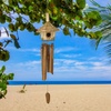 image:imageWoodstock Chimes Asli Arts Collection Coco Pig Bamboo Chime 22 Bamboo Wind Chimes for Outdoor Patio Home or Garden Dcor CPIGBirdhouse