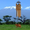 image:imageWoodstock Chimes CBEA The Original Guaranteed Musically Tuned Chime Asli Arts Collection Medium Half Coconut Bamboo  BearElephant