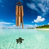 image:imageWoodstock Chimes CBEA The Original Guaranteed Musically Tuned Chime Asli Arts Collection Medium Half Coconut Bamboo  BearSea Turtle
