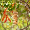 image:imageWoodstock Chimes Ceramic Disc Chime 26 Apricot Wind Chime for Outside Ceramic Shell Design Chimes for Garden Porch Patio Decor Unique Gift CCAPApricot