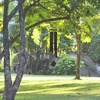 image:imageWoodstock Chimes Pluto Wind Chime for Outside 37 Black Wood Medium Tone Sound for Outdoor Garden Patio Porch Decor Gifts Encore Collection DCKK37Black Teak