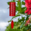 image:imageWoodstock Chimes Signature Collection Aloha Chime 28 Purple Passion Decor Designs  Coastal Gifts Wind Chimes for Outdoor Patio Home or Garden Dcor ACPACHR