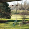 image:imageWoodstock Wind Chimes 29 Chi Energy Turquoise Chime Teak Finish Ash Wood Silver Aluminum Tube Signature Collection Windchimes for Outdoor Patio Home or Garden Dcor CETS