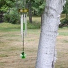 image:imageWoodstock Chimes Signature Collection Gem Drop Chime 10 Shamrock Dcor Designs  Small Chimes Wind Chimes for Outdoor Patio Home or Garden Dcor GEMSHGEMSH