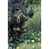 image:imageWoodstock Chimes Signature Collection Woodstock Chakra Chime 17 Citrine Eastern Energies Wind Chimes for Outdoor Patio Home or Garden Dcor CCCI