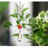image:imageWoodstock Chimes Rainbow Makers Crystal Suncatchers Crystal Fantasy Rainbow FairyRainbow Fairy